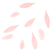 Decoración de la tienda Shanti Boutique